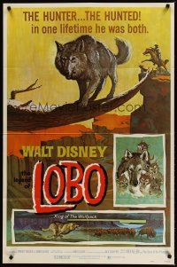 9h477 LEGEND OF LOBO 1sh R72 Walt Disney, King of the Wolfpack, cool artwork of wolf being hunted!