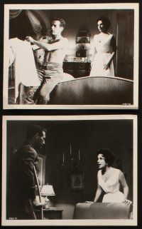 9j694 CAT ON A HOT TIN ROOF 6 TV 8x10 stills R60s Elizabeth Taylor as Maggie the Cat, Paul Newman!