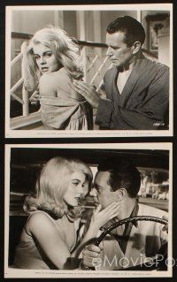 9j710 KITTEN WITH A WHIP 5 8x10 stills '64 great images of sexy bad Ann-Margret & John Forsythe!