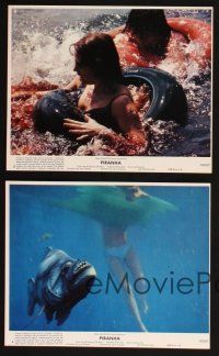 9j123 PIRANHA 8 8x10 mini LCs '78 Joe Dante, Roger Corman, gruesome horror images & killer fish!