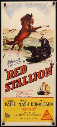 9m955 RED STALLION Aust daybill '47 cool artwork of wild horse fighting grizzly bear!