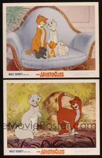 9p849 ARISTOCATS 2 LCs R73 Walt Disney feline jazz musical cartoon, great images!