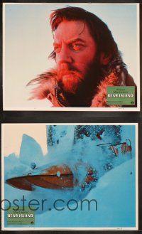 9p051 BEAR ISLAND 8 LCs '80 arctic images w/ Donald Sutherland & Vanessa Redgrave, Alistair MacLean