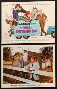 9p016 HORSE IN THE GRAY FLANNEL SUIT 9 LCs '69 Walt Disney, Dean Jones, Diane Baker, great images!