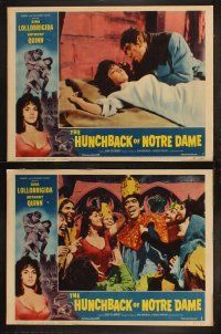 9p221 HUNCHBACK OF NOTRE DAME 8 LCs '57 Anthony Quinn as Quasimodo, Gina Lollobrigida!