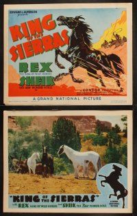 9p260 KING OF THE SIERRAS 8 LCs '38 great TC art of Rex, King of the Horses, chased by cowboys!