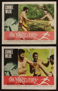 9p337 NAKED PREY 8 LCs '65 Cornel Wilde stripped and weaponless in Africa running from killers!