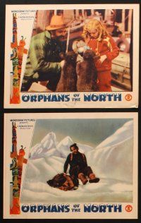 9p633 ORPHANS OF THE NORTH 6 LCs '40 great Canada wilderness images including bear cubs & sled dogs!