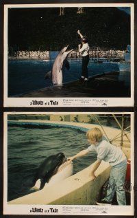 9p775 WHALE OF A TALE 4 LCs '77 Ewing Miles Brown, cool images of killer whale, dolphin, shark!