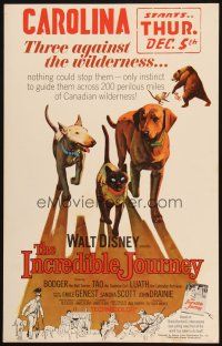 9s472 INCREDIBLE JOURNEY WC '63 Disney, art of Bull Terrier, Siamese cat & Labrador Retriever!