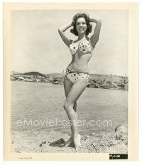 9t466 DEAR BRIGITTE 8x9.5 still '65 sexy Jane Wald posing in bikini with arms over head by the ocean