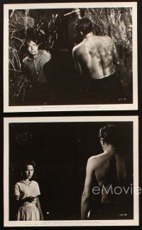1b882 CAPE FEAR 4 8x10 stills '62 Gregory Peck, Robert Mitchum, Polly Bergen & Lori Martin!