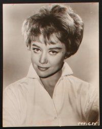 1b329 GLYNIS JOHNS 15 8x10 stills '40s-70s close up & full-length portraits of the English star!