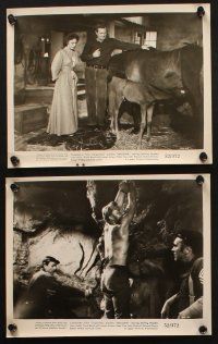 1b563 HELLGATE 9 8x10 stills '52 cool images of Sterling Hayden in America's Devil's Island!