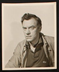 1b264 JOHN IRELAND 21 8x10 stills '40s-80s great portraits of the Canadian actor over the decades!