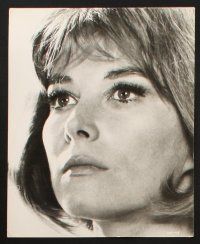 1b463 LEE GRANT 11 8x10 stills '60s-80s great portraits of the actress from several decades!