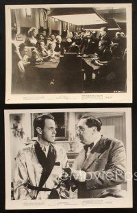 1b861 SAINT'S GIRL FRIDAY 5 8x10 stills '54 blondes and bullets can't stop Louis Hayward!