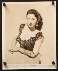 1b794 VERA RALSTON 6 8x10 stills '40s-50s great close up and full-length portraits of the sexy star!
