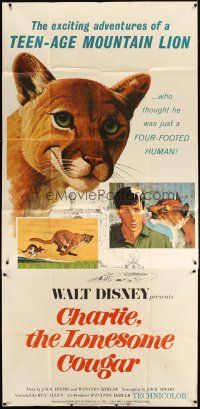1d549 CHARLIE THE LONESOME COUGAR 3sh '67 Walt Disney, art of smiling teen-age mountain lion!