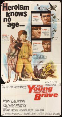 1d993 YOUNG & THE BRAVE 3sh '63 Rory Calhoun, William Bendix, art of heroic boy & German Shepherd!