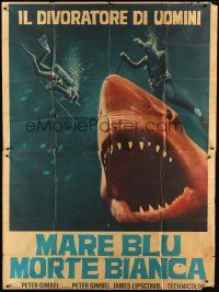 1d014 BLUE WATER, WHITE DEATH red shark style Italian 2p '72 art of shark & divers by Fiorenzi!
