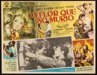 1e314 GREEN MANSIONS Mexican LC '59 cool art of Audrey Hepburn & Anthony Perkins by Joseph Smith!