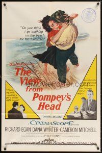 1g937 VIEW FROM POMPEY'S HEAD 1sh '55 Dana Wynter accidentally finds out her husband's a Negro!