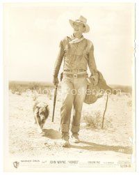 1h529 HONDO 8x10 still '53 best full-length portrait of John Wayne with his gun & his dog!
