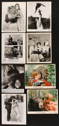 1p133 LOT OF 8 COLOR AND B&W 8X10 ANIMAL STILLS '50s-90s great images of friendly critters!