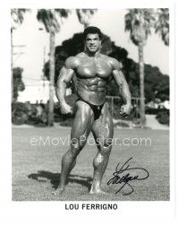 1r1096 LOU FERRIGNO signed 8x10 REPRO still '90s the bodybuilder full-length showing his muscles!