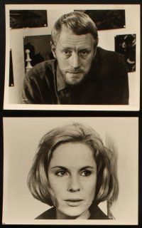 1x636 PASSION 8 8x10 stills '70 Ingmar Bergman's En Passion, Liv Ullmann, Max Von Sydow!