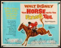 1z185 HORSE WITH THE FLYING TAIL 1/2sh '60 Walt Disney Olympic Equestrian Team documentary!