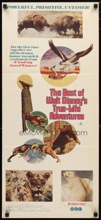 2d364 BEST OF WALT DISNEY'S TRUE-LIFE ADVENTURES Aust daybill '75 powerful, primitive, animal art!