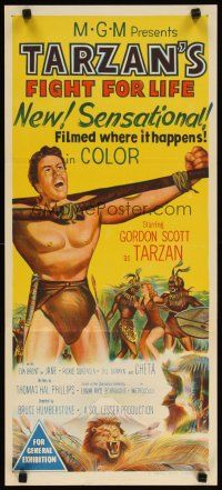 2h239 TARZAN'S FIGHT FOR LIFE Aust daybill '58 art of Gordon Scott bound with arms outstretched!