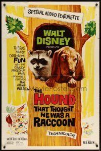 2j446 HOUND THAT THOUGHT HE WAS A RACCOON 1sh '60 Disney, wacky art of animals in tree!
