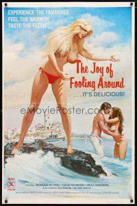 2j491 JOY OF FOOLING AROUND 1sh '78 experience the fantasies, feel the warmth, taste the flesh!