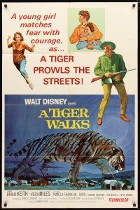 2j899 TIGER WALKS style A 1sh '64 Disney, artwork of giant tiger on the prowl!