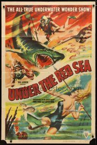 2j925 UNDER THE RED SEA style A 1sh '52 cool art of scuba divers & sexy swimmer fighting shark!
