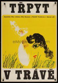 2p783 SPLENDOR IN THE GRASS Czech 23x33 '69 Natalie Wood, Warren Beatty, art by Jaromir Gal!