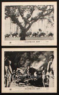 2r845 ELEPHANT BOY 2 English FOH LCs R50s Sabu in Rudyard Kipling's jungle story, animal images!