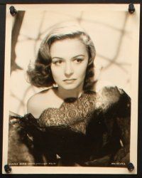 2r220 DONNA REED 8 8x10 stills '40s-50s great c/u and full length portraits of the pretty star!