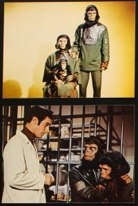 2r026 ESCAPE FROM THE PLANET OF THE APES 8 color 7.5x10 stills'71 c/u of Dillman w/Hunter & McDowall