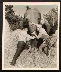 2r385 JUMBO 6 8x10 stills '62 Doris Day, Jimmy Durante, Stephen Boyd, circus elephant!