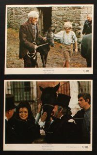 2r013 BLACK BEAUTY 8 color 8x10 stills '71 Mark Lester,Walter Slezak,Anna Sewell classic horse story