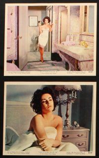 2r001 BUTTERFIELD 8 12 color 8x10 stills '60 sexy callgirl Elizabeth Taylor & Laurence Harvey!