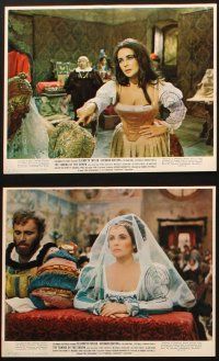 2r005 TAMING OF THE SHREW 12 color 8x10 stills '67 Elizabeth Taylor does Shakespeare, Zeffirelli