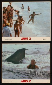 2r085 JAWS 2 4 8x10 mini LCs '78 Roy Scheider with gun, Lorraine Gary, cool shark images!
