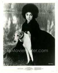 2x009 ABOMINABLE DR. PHIBES 8x10.25 still '71 close up of Virginia North with cool greyhound dog!