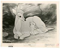 2x047 BAMBI 8x10 still R57 Walt Disney cartoon deer classic, great image as a fawn with mother!