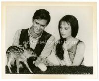 2x349 GREEN MANSIONS 8x10 still '59 Audrey Hepburn & Anthony Perkins feed baby deer with bottle!